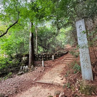 ほとんど人に会うことなく下山。