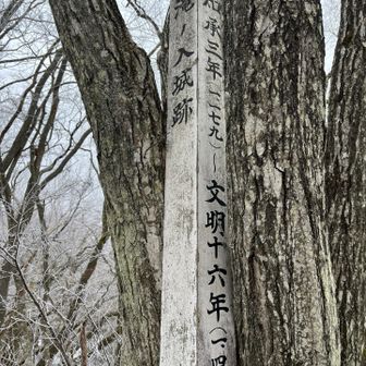 屠屋場山の山頂標識は見当たらず。1179年言うたら平安末期、1484年言うたら室町・戦国期、そんな頃からこのあたりの動きは活発だったのだなあ。