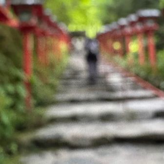 激混みでピントがズレた