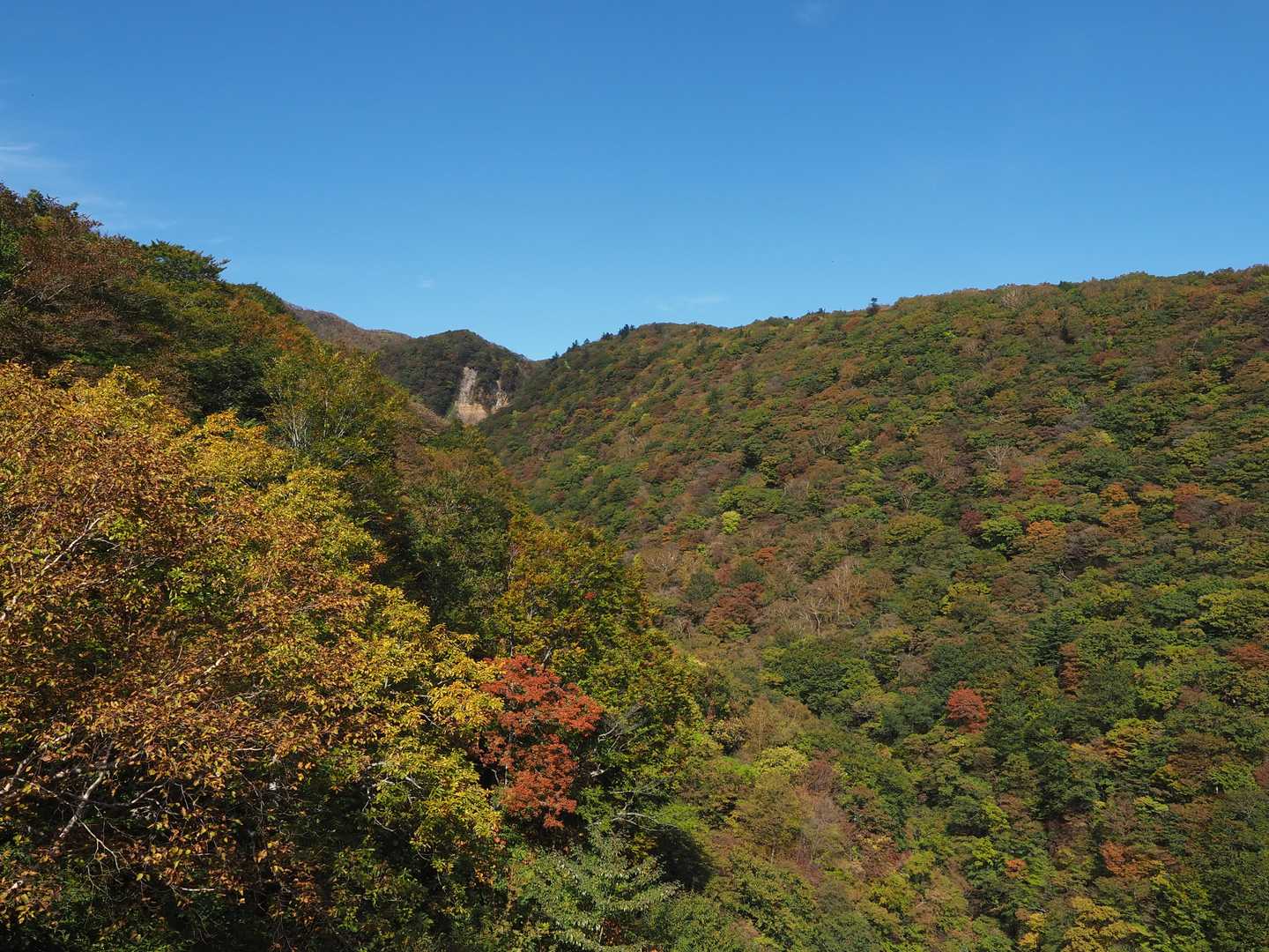 ここ登ったんですね。
それでは今日も楽しい山行ありがとう。