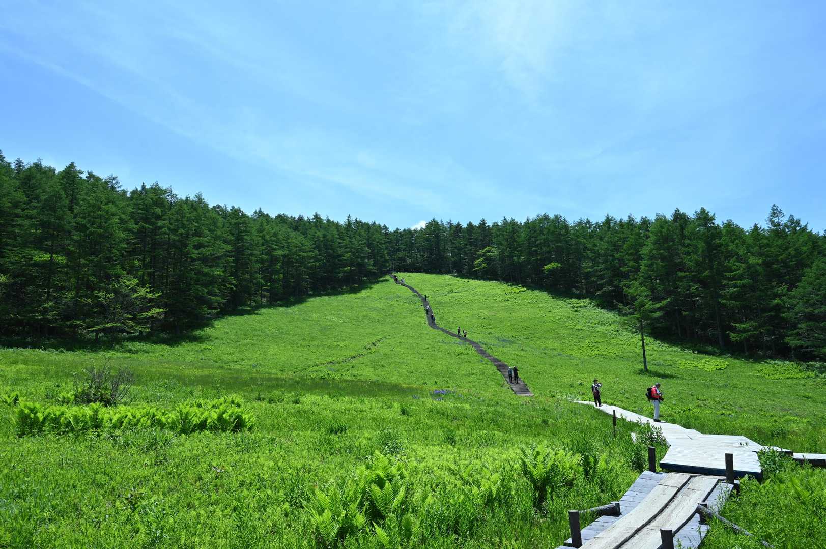 木道の上は遮るものが無く暑い