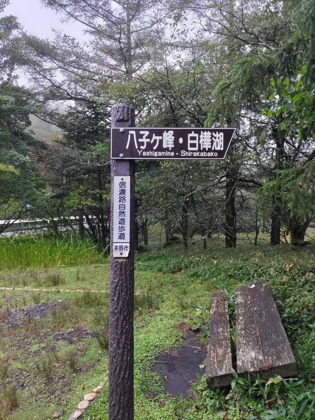前から行きたかった八子ヶ峰