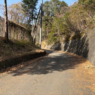 ※ここから登る。