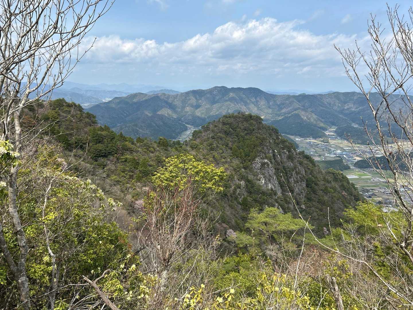 三尾山とヒカゲツツジ