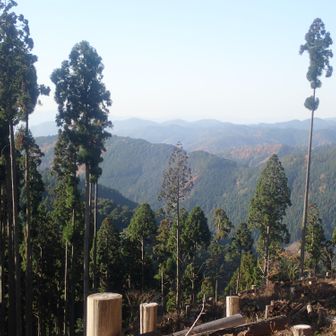 山頂からの景色