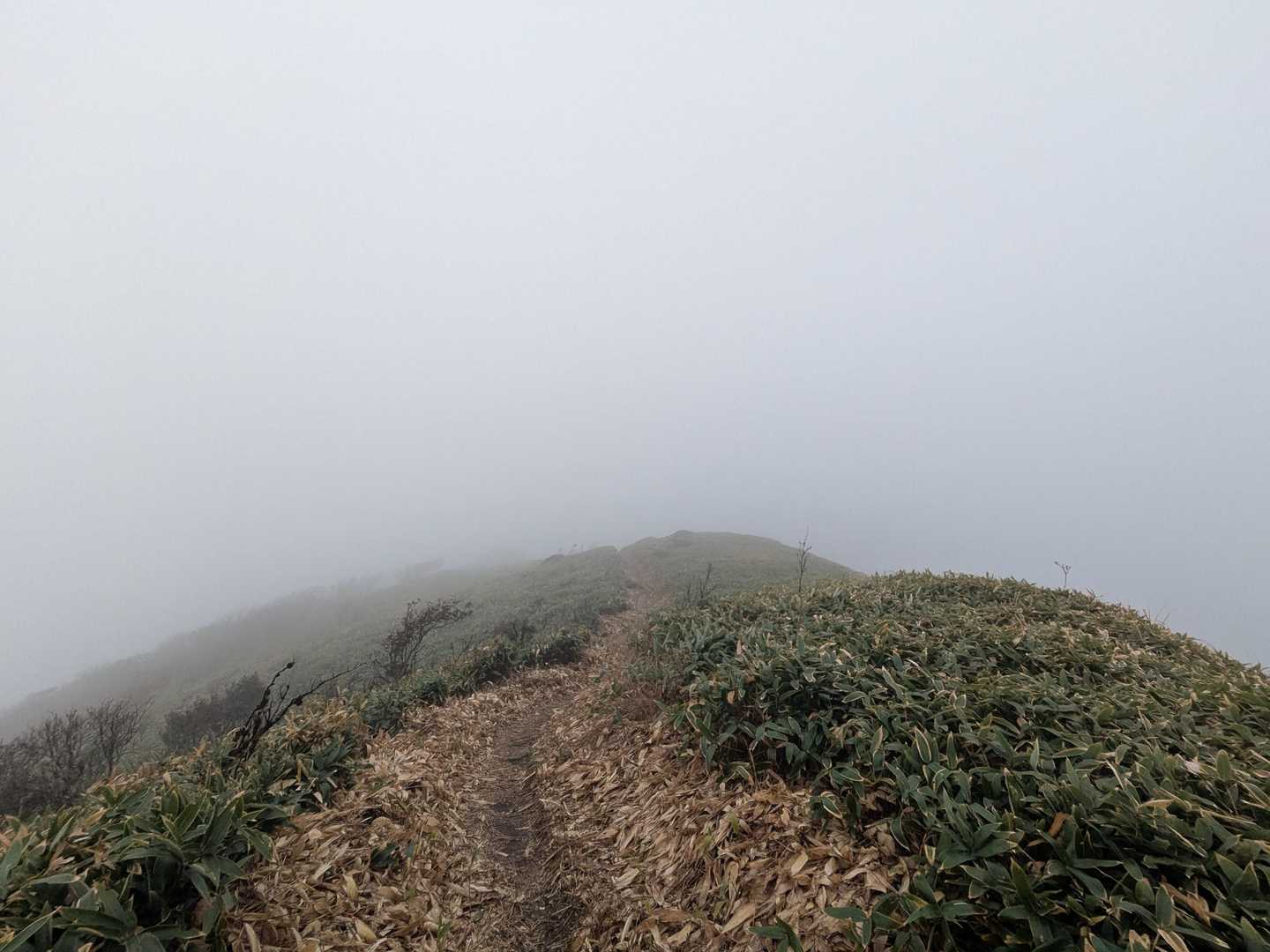 旧寒風山トンネル南口-桑瀬峠-寒風山-笹ヶ峰 往復コースの写真