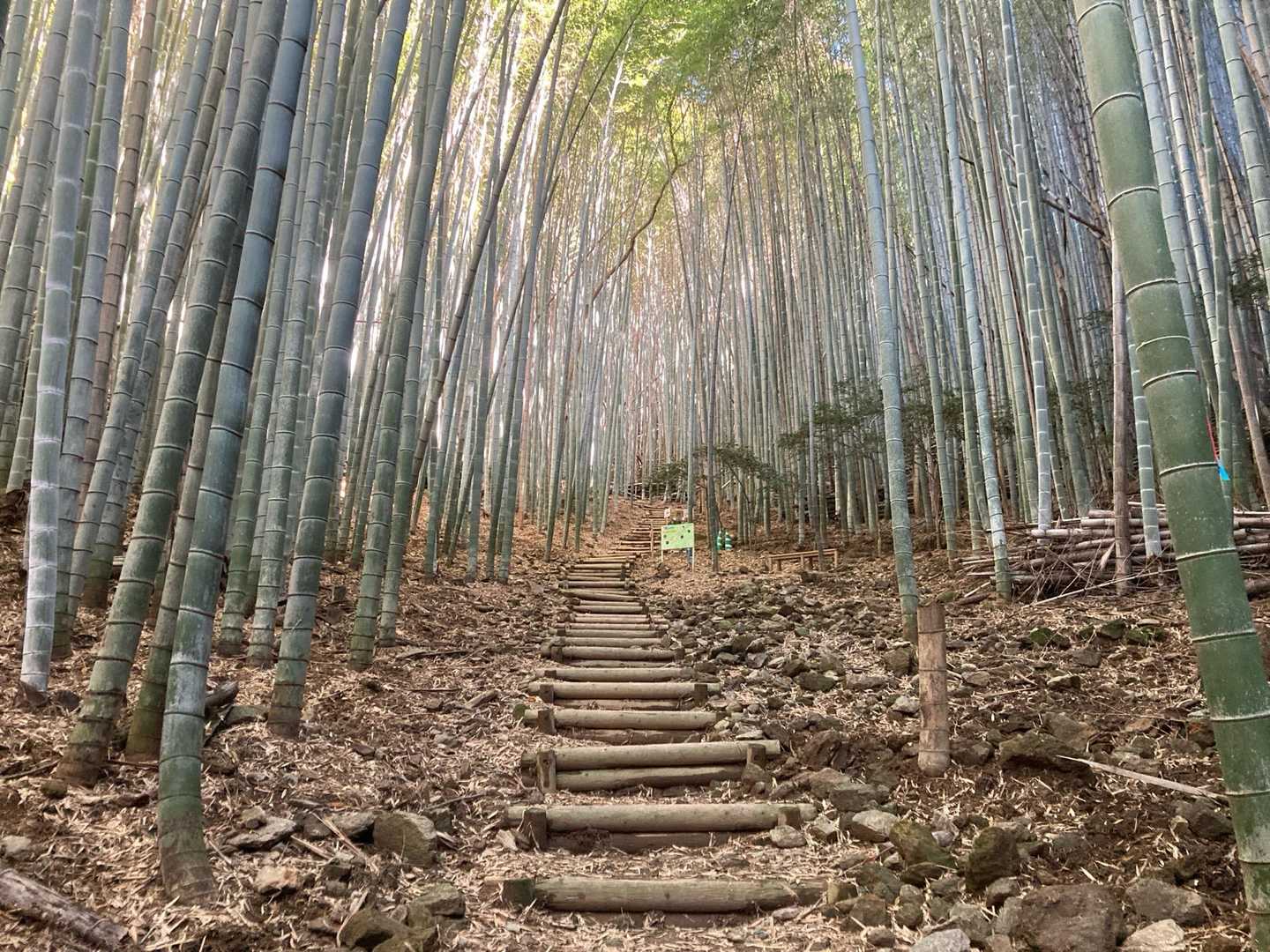 神々しい