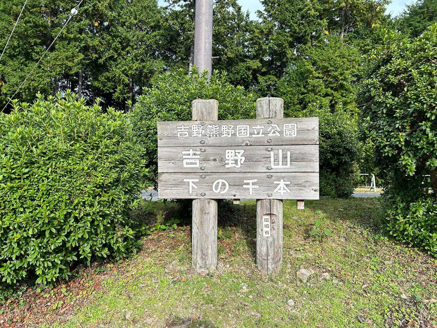 駐車場🅿️戻りました