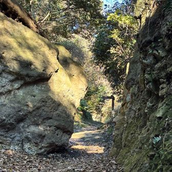 三浦郡から鎌倉郡へ
