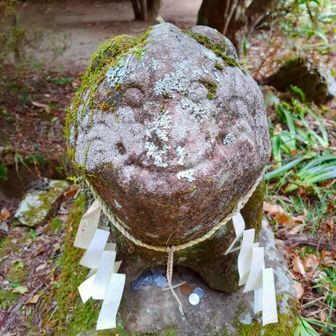 優しいお顔☺
こちらも優しい気持ちになる😊