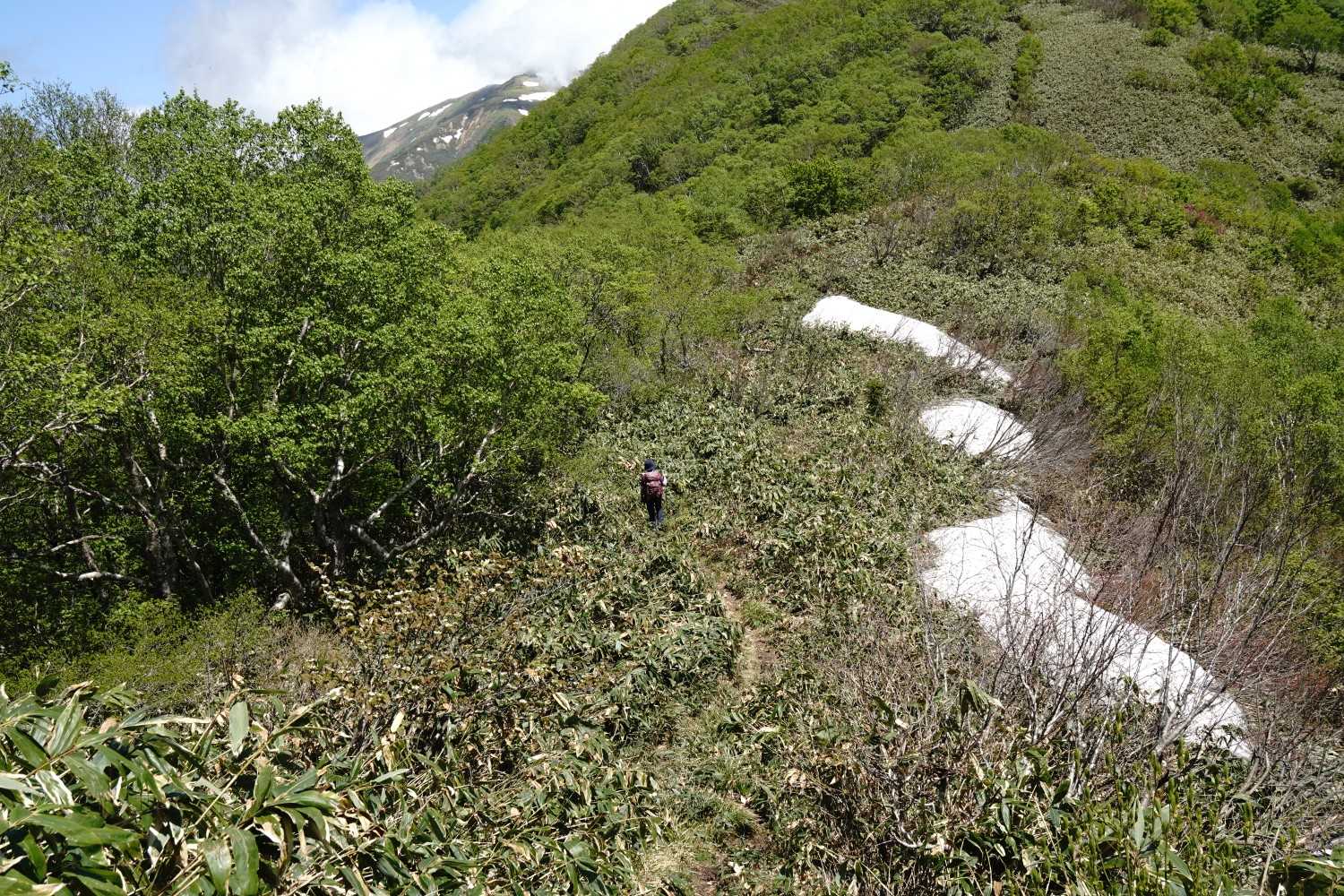 三国峠-三国山-三角山-大源太山 周回コースの写真