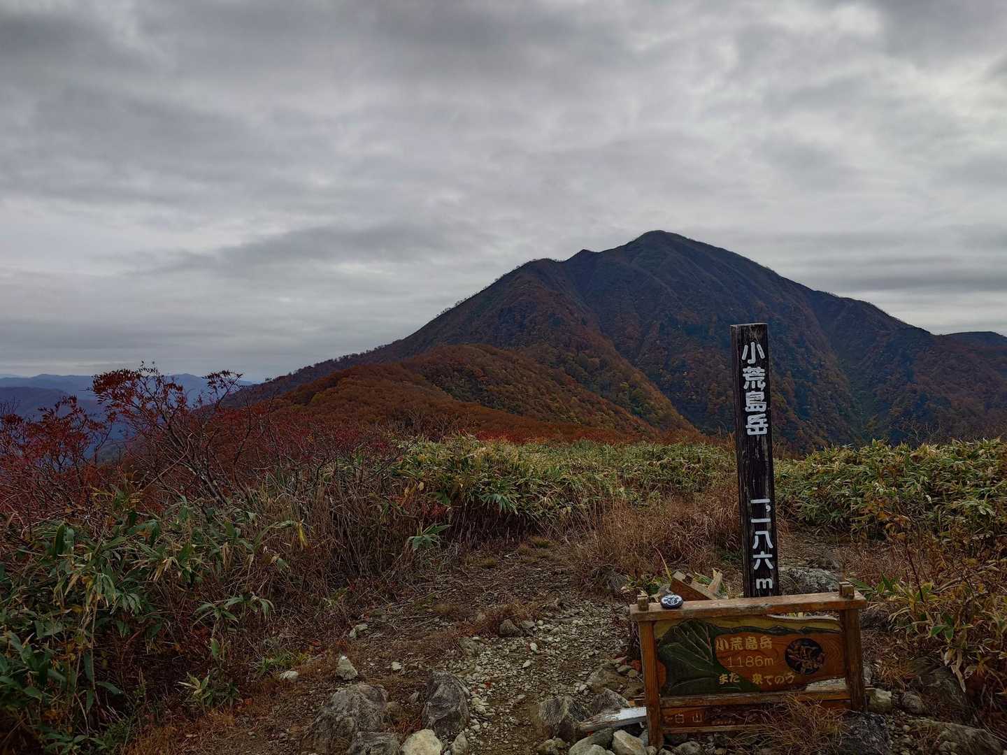 荒島岳勝原登山口-深谷ノ頭-シャクナゲ平-荒島岳-小荒島岳 往復コースの写真