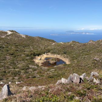 上から見た不動池、確かに🧡に見えました！