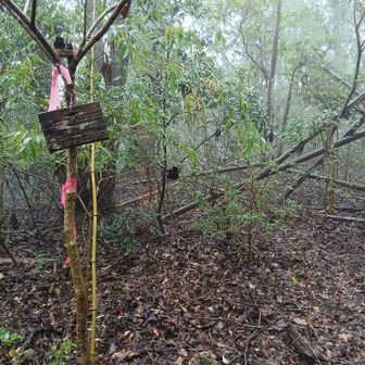 和霊山山頂です。
この後､西郡コースを利用して無事下山しました。
本日スレ違ったのは､人気の福山にしては珍しく､たったのお一人でした。