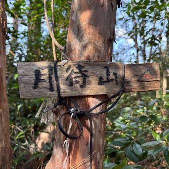 月待山も通りました