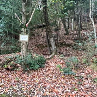 やっと終わたぁぁぁ！
駐車場の目の前に出たぞぉ！
登り納めじゃぁ！

マジ足痛い😵‍💫キツかった…
まだまだ修行中…