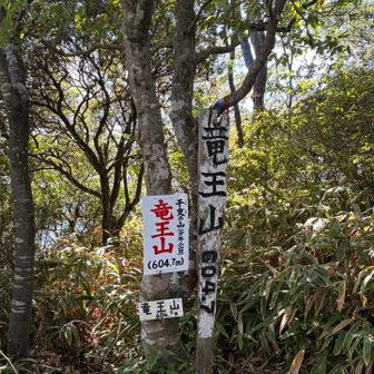竜王山でピークゲット