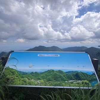 今日は富士山は雲の中