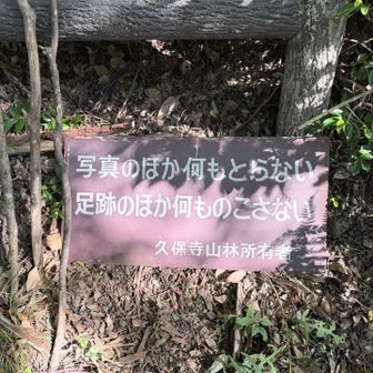 後悔も残さない

https://youtu.be/JOkvbEjRbBs