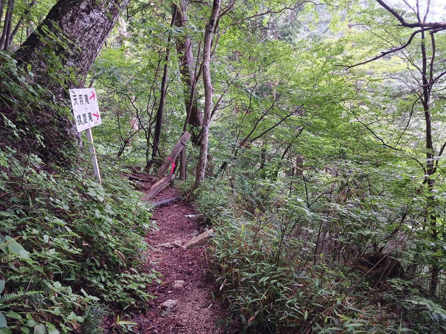 螺旋滝へ立ち寄ります