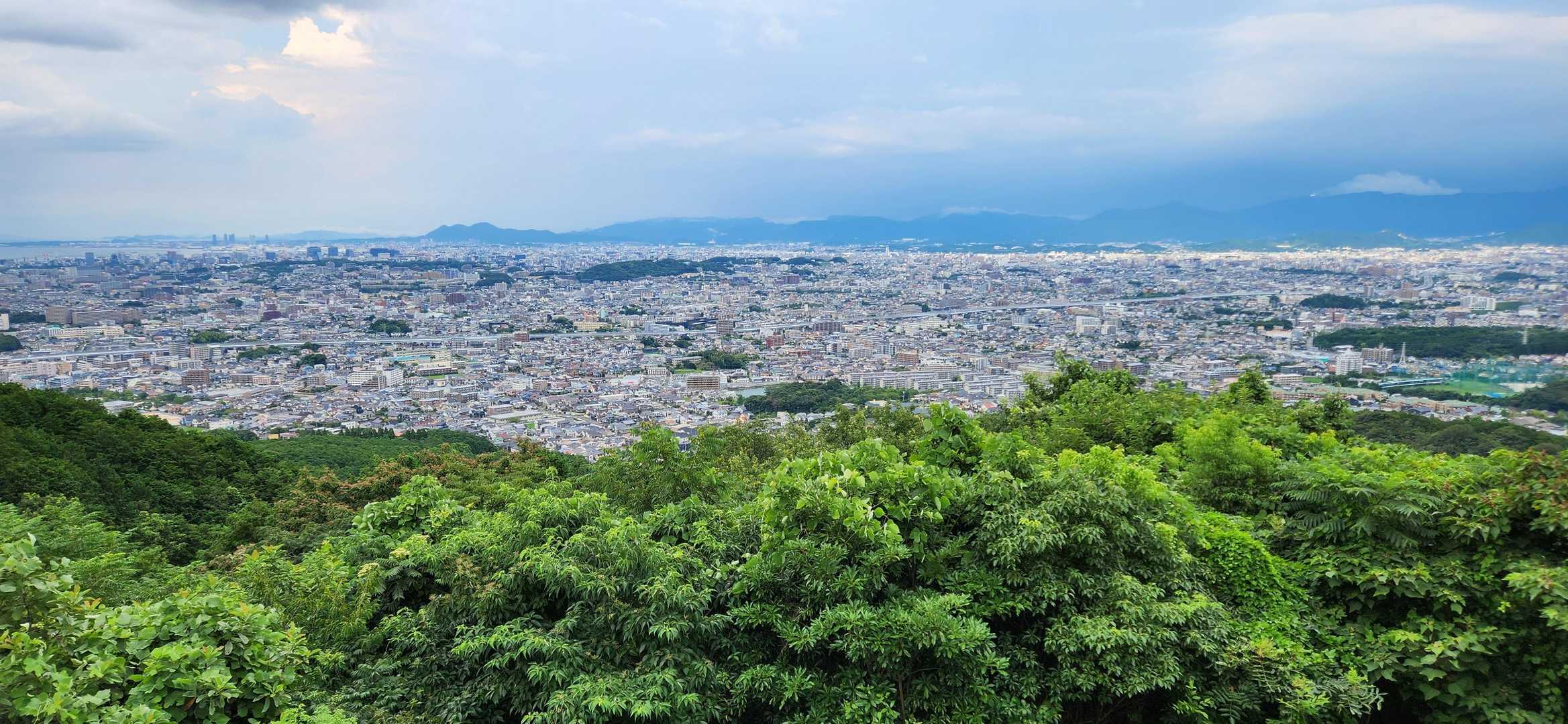 展望台戻ってきました。雨降りませんでした～。ツクツクボウシが鳴いてて、少しだけ季節がすすんでるのが感じられました。暑かったけど😅