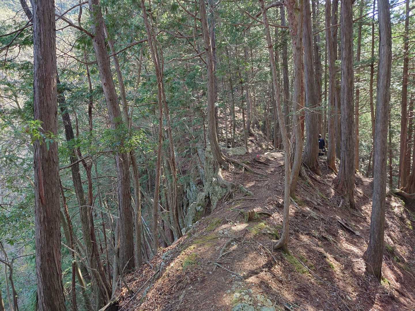  次石山登山口-小倉城山-小倉城八方館跡-今里山-与松山- 周回コースの写真