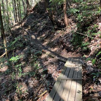 こちらも良く整備されてる👍