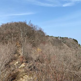 豊受山山頂方面