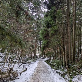 あっという間に下山。
よい登山でした。
文殊さん有難うございました。