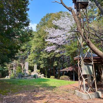 山頂の様子

山というより丘ですね。