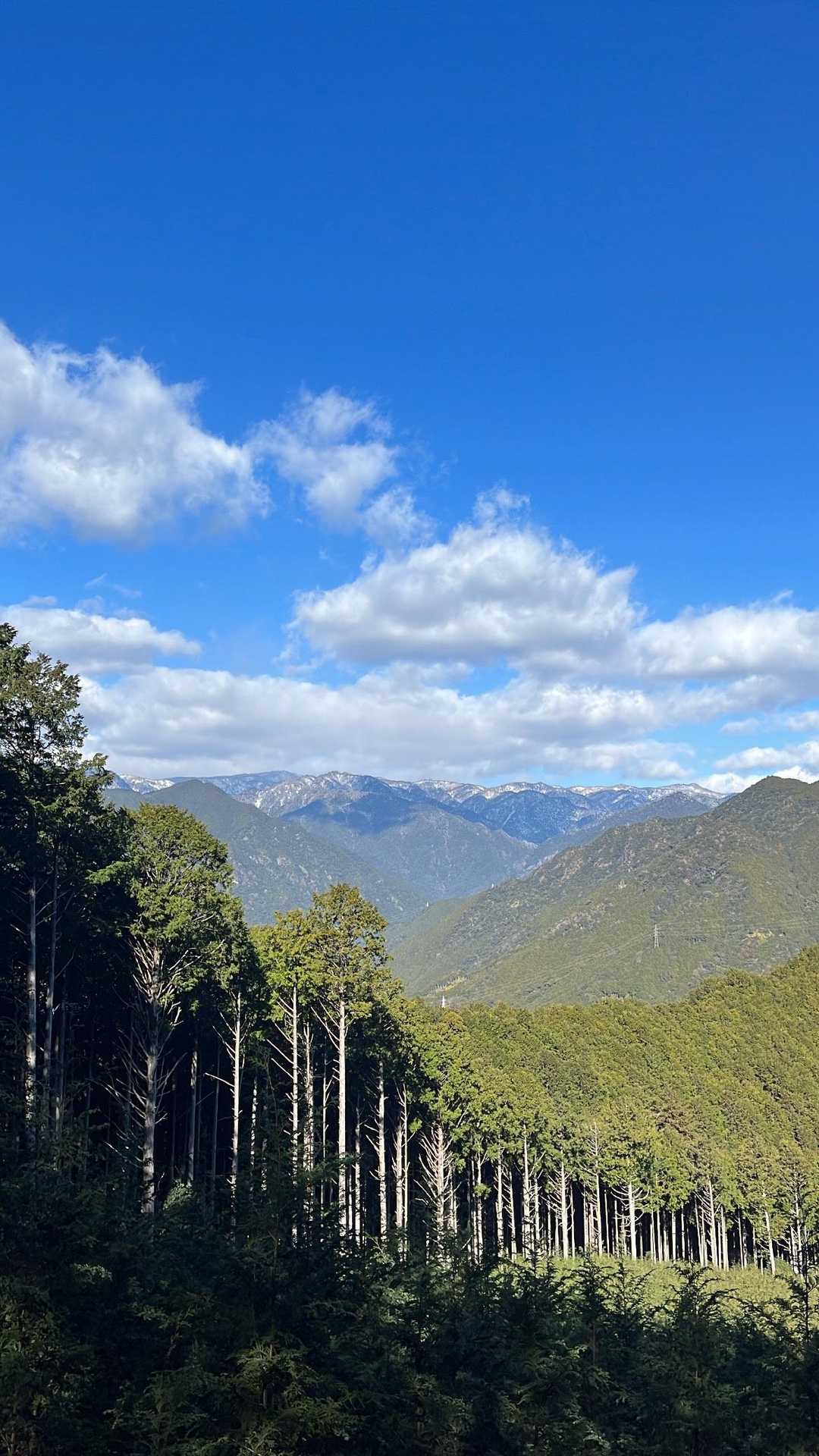 鷲下登山口-馬越峠-天狗倉山東峰-天狗倉山 往復コースの写真