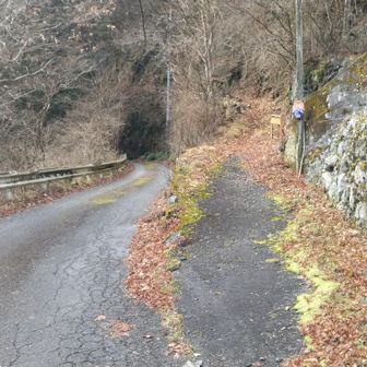 最初から軌跡がおかしい🥲
ダウンロードした地図をいくつか削除し様子を見ます。
YAMAPのルートは少し表示がおかしくて、ここで右手の登山道に入っていくのがわかりにくいです。人家を過ぎて地図上の黒い破線の道が登山道で、崖の上を通ります。下の林道と少しの間並行します。
帰りは軌跡ちゃんと取れてました。