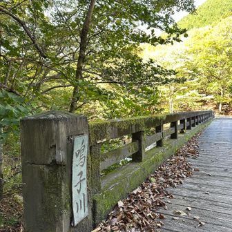 鳴子川を渡ります