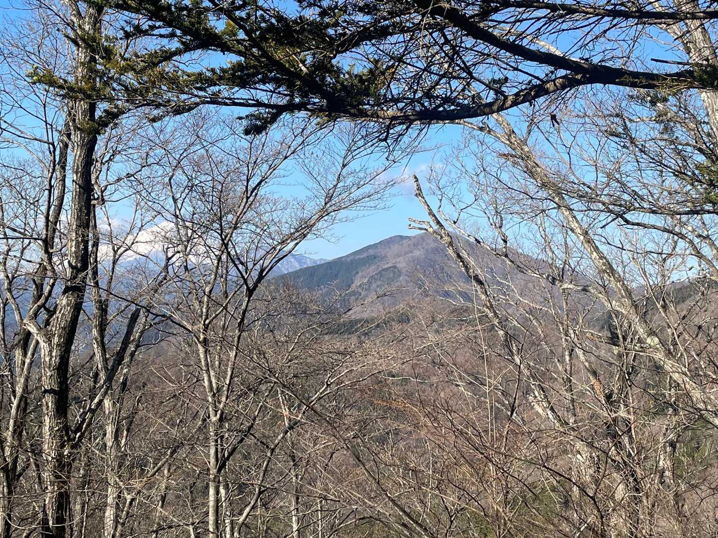 登りの途中でビュースポットありました。
今日の目的地、菜畑山が見えました！
菜畑山の左後ろには富士❗️
今日は、ちょっと雲がかかっているようですが、富士山を見ると元気出ますね😀