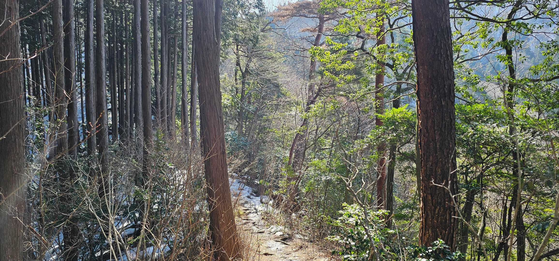遣水観音山 周回コースの写真