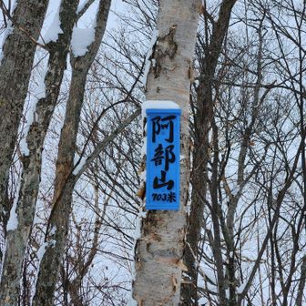 山頂到着。
木々に囲まれており、見晴らしはほぼありません。

栄養補給したり、スノーシューを脱いだりしていると、若者が到着されました。この先の峯越山まで行かれるとのこと。
私も行ってみたい気持ちもありましたが、空を見ると雲が厚くなってきたし、私の足ではここまで結構時間がかかってしまったので、今日はここまでにして、下山することに。。

下山はツボ足でいきます。
今日の雪質、雪の深さだとチェンスパも着けず、ズリズリと滑り落ちながら(たまにズボリながら)下るのが一番楽と考えました。。