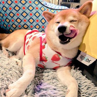 ひよちゃん^. ̫ .^