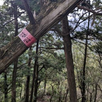 この先は崖になってるから引き返して巻き道を行きます
