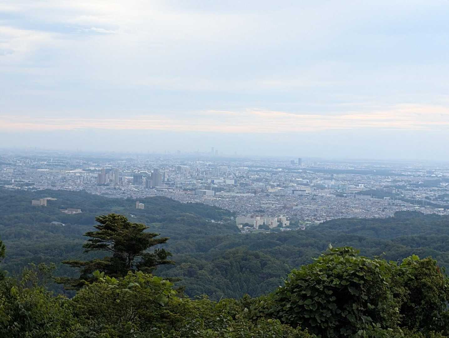 高尾山口駅発着｜6号路・1号路周回コースの写真
