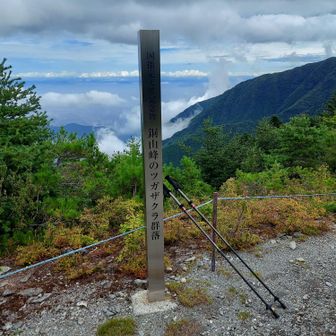 この日は意外にも登山者の方たちは沢山いました。トレランの方たちと少し談笑、初めて銅山峰に来たとの事。私と同じく、スズメバチとアブに襲われたそうです💦