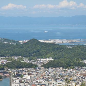 山頂（３回目）
正面に見えるのがまもなく入港する南海フェリー。山頂で出会った方が教えてくれた。