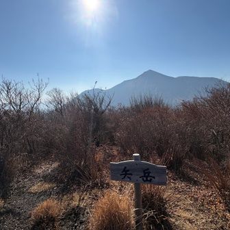 なんとか矢岳に着きました😮‍💨

後ろには高千穂峰♪
ここで少し早めの昼ご飯にしました😊