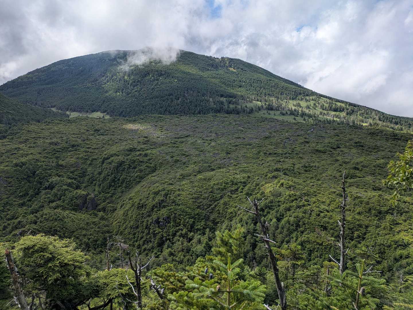縞枯山
今日は行きません🤭