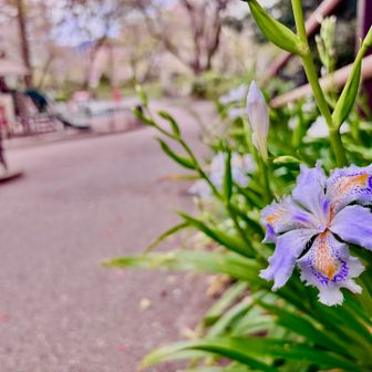 ✨✨✨皆さんに幸あれ✨✨✨