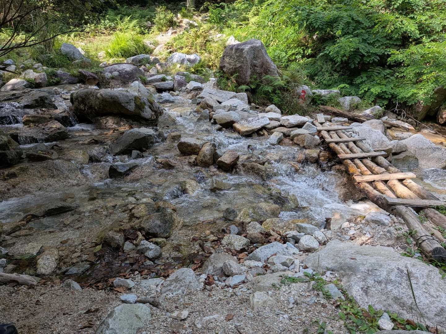 大山口の冷たい水でクールダウン