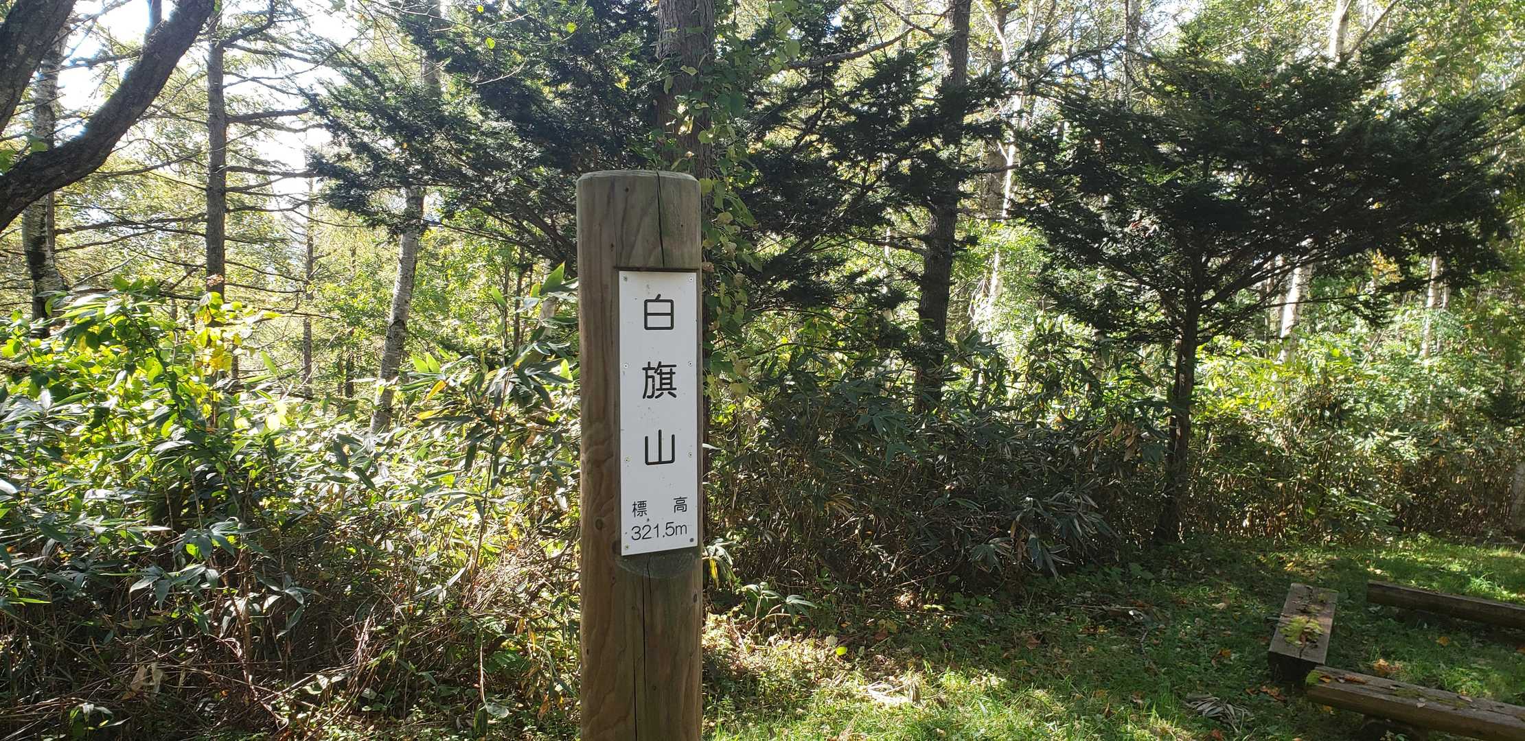 白旗山ピーク
眺望は、ほとんどありません