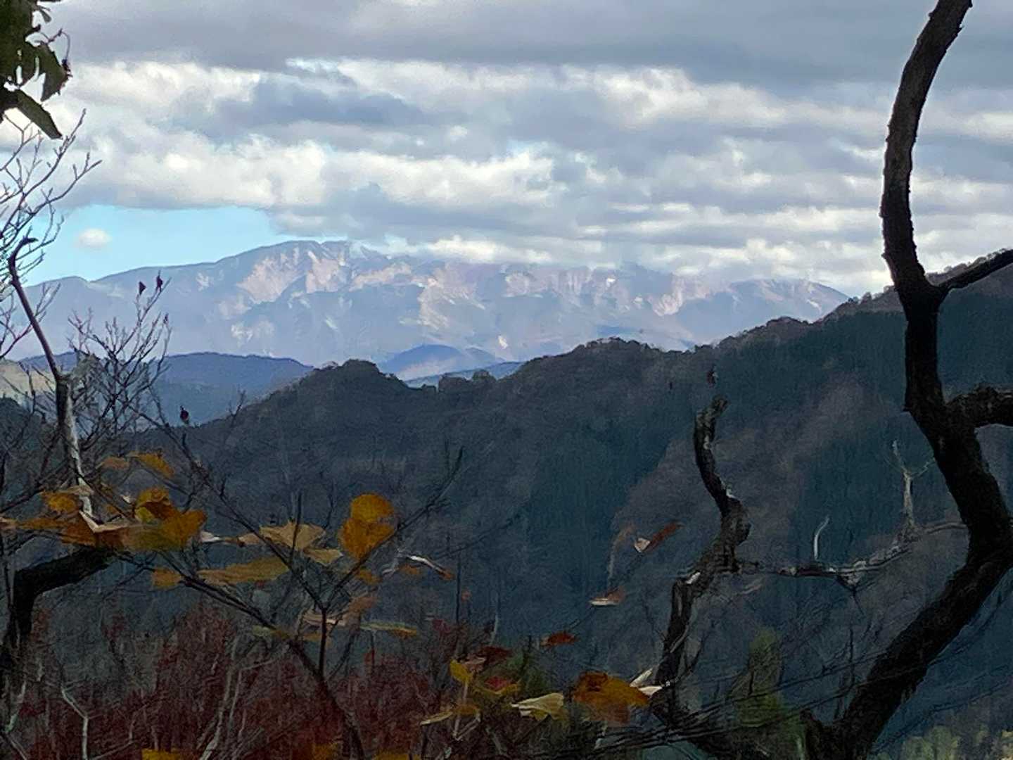 アップ。ちょい雲隠れ☁️