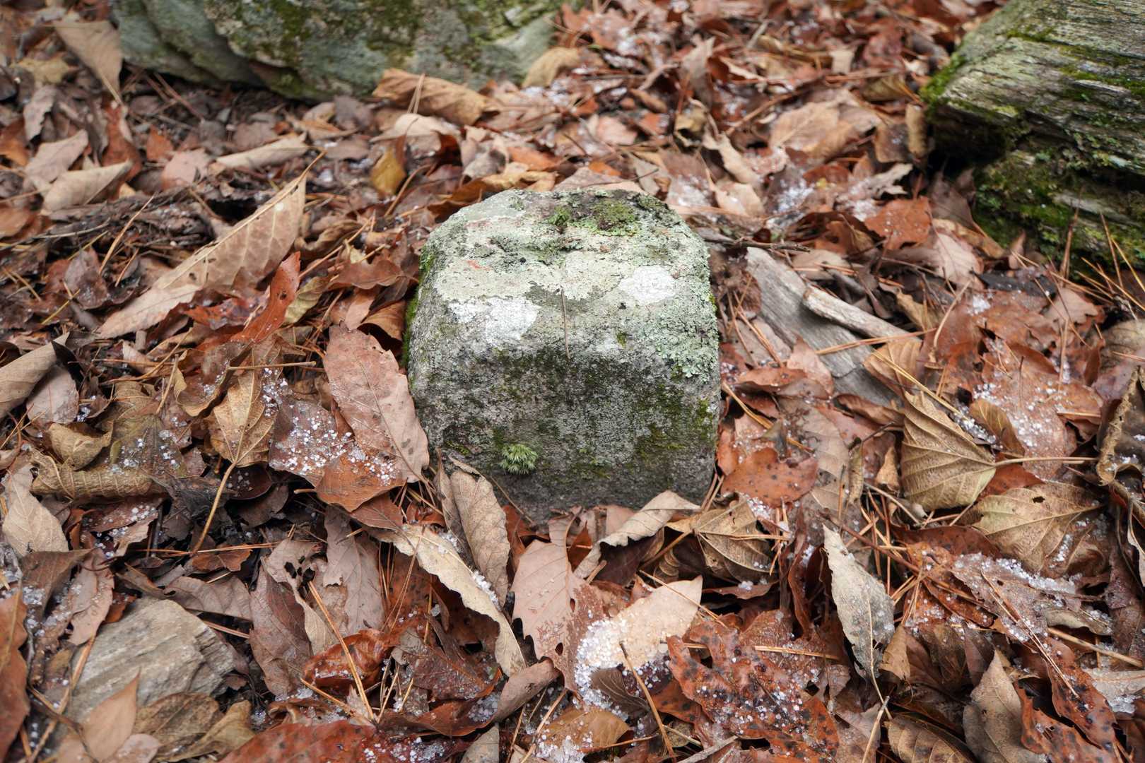 北山三角点

等級種別	三等三角点
基準点名	北山
北緯	34°15′32″.4979
東経	135°27′55″.2236
標高(ｍ)	586.65
