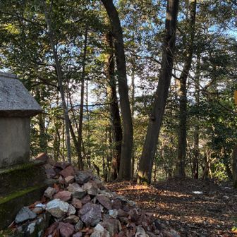 どうやら山頂のようです。