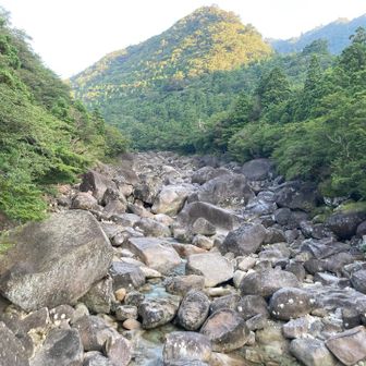 最初からすごい景色だー